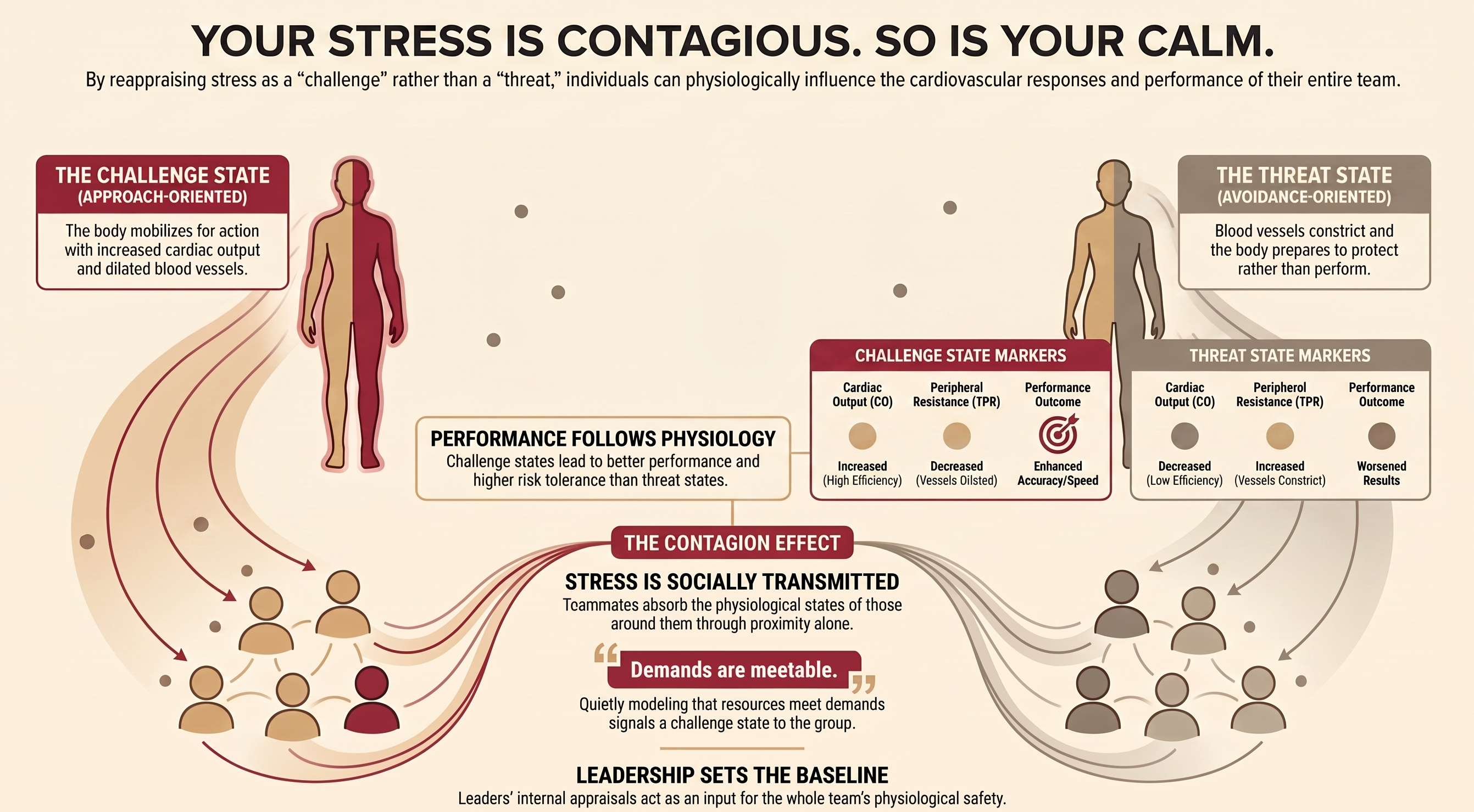 Your Stress Is Contagious. So Is Your Calm.