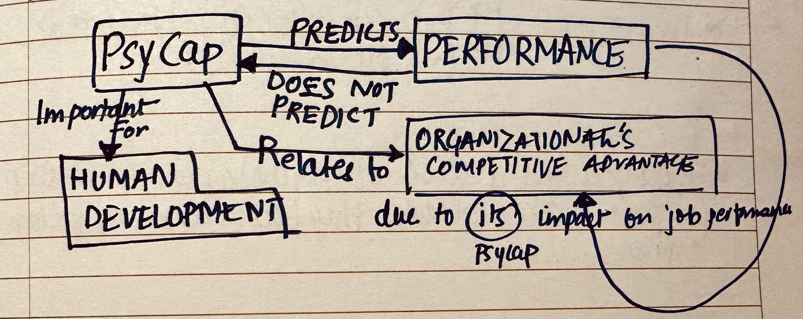 My hand-drawn diagram: a PsyCap box and a Performance box joined by two arrows, one labelled predicts and the reverse one labelled does not predict, with further arrows running to Human Development and to the organization's competitive advantage.